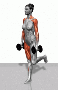 腹部肌肉锻炼方法图解