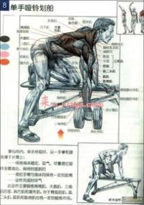 8种背阔肌锻炼方法都是什么